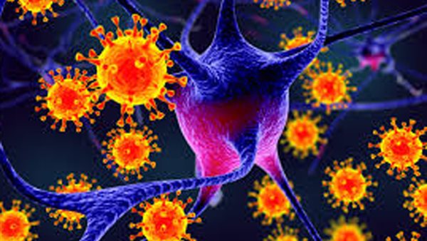 تحذير شديد.. فيروس نيباه سينتشر كالنار في الهشيم بين البشر