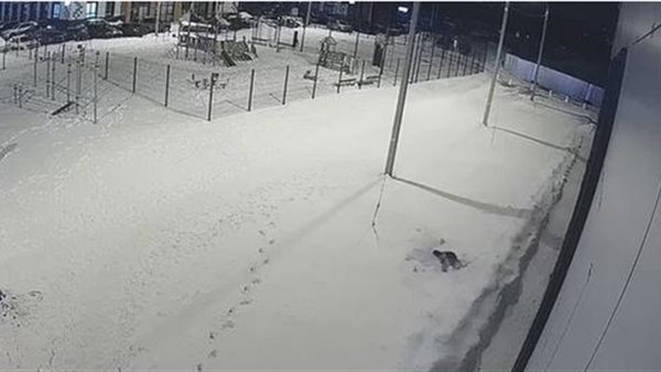 العناية الإلهية أنقذته .. لحظة سقوط طفل من الدور الثاني عشر حيا | شاهد