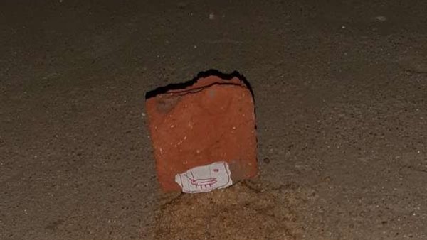 صدق أو لا تصدق..قبر لصرصار في الشرقية وكفن لعنكبوت