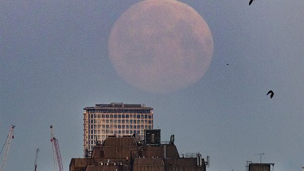 القمر الدودي..حدث فلكي عملاق يقع في هذا التوقيت