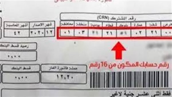 عداد الغاز المنزلي .. تحذير عاجل من البترول بخصوص فواتير شهر أبريل
