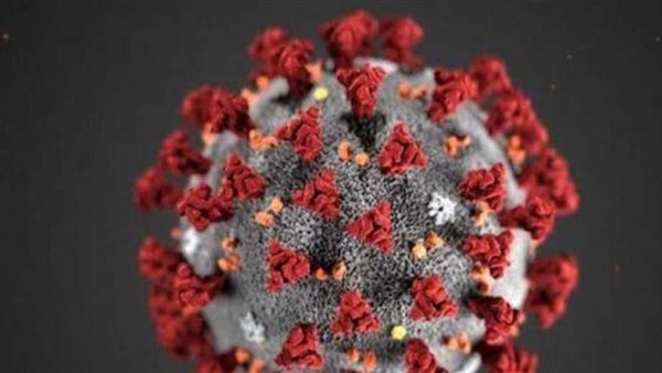 شريط بـ 2جنيه.. أقراص دواء شهيرة تقلل من وفيات كورونا