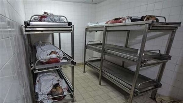 لن تصدق السبب.. أحمد وإيمان يقتلان أطفالهما الثلاثة بطريقة صادمة