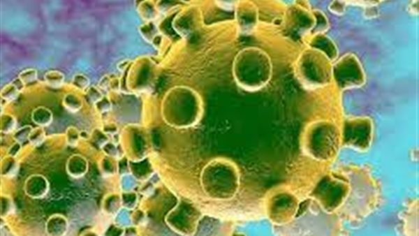 بشرة خير.. أول منطقة في العالم تتخلي عن الكمامات وتتخلص من قيود كورونا 