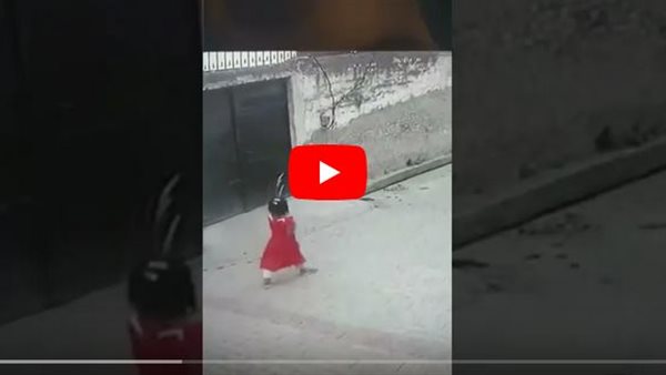 لقطات مروعة..فيديو صادم لمجموعة كلاب تهاجم طفلة أثناء سيرها بالشارع | شاهد