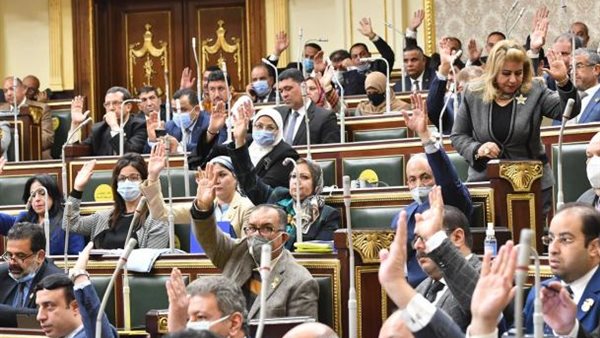 هجوم ناري على وزيرة الصحة.. مجلس النواب يضع حلولا عاجلة لأزمة تكليف الصيادلة 