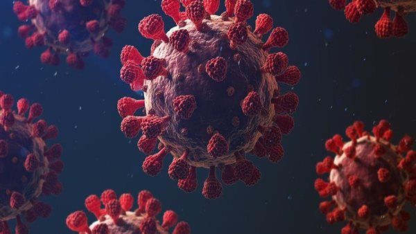 حارب كورونا.. هذا الخليط العشبي البسيط يعزز مناعتك