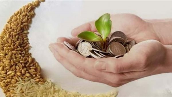 الإفتاء تحسم الجدل..ما حكم عدم إخراج زكاة الفطر؟