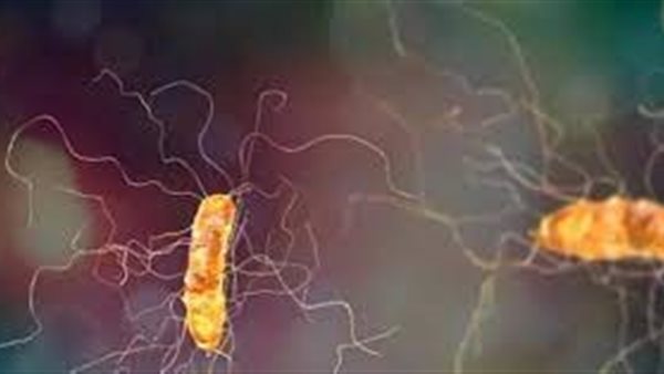 عدوى جديدة تهدد العالم..ما هو فطر داء الرشاشيات؟
