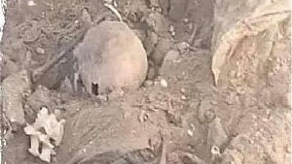 عددها 32.. أسباب ظهور جماجم موتى على طرق المارة في القليوبية 