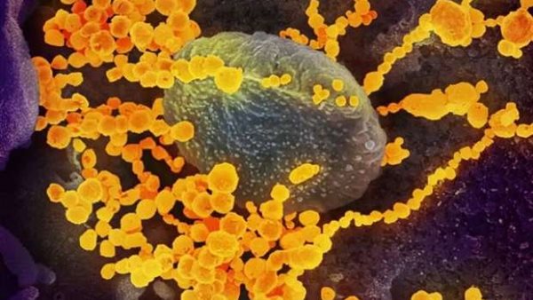 العيون الحمراء أهمها.. احذر هذه العلامات تشير لإصابتك بـ الفطر الأصفر