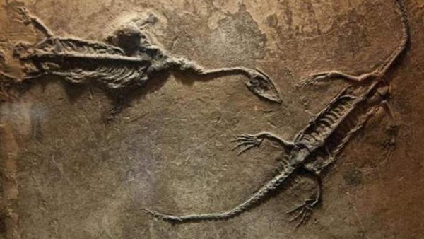 اكتشاف جديد..حكاية أخطر مكان في العالم 