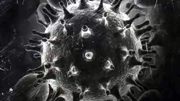 بعد تحوله إلى وباء.. كل ما تريد معرفته عن أعراض الفطر الأسود 