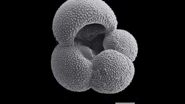 لم يشهدها منذ 3 ملايين عام.. العالم على موعد مع كارثة طبيعية غير مسبوقة