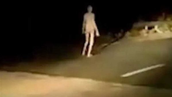 وجهه شاحب ويمشي في الظلام.. الكشف عن لغز مخلوق غريب أثار الذعر | شاهد