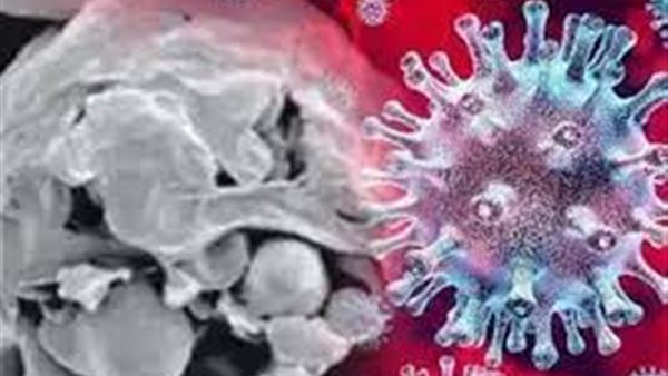 لو شاكك.. طبيب شهير يكشف عن علامات تؤكد الإصابة بالفطر الأسود