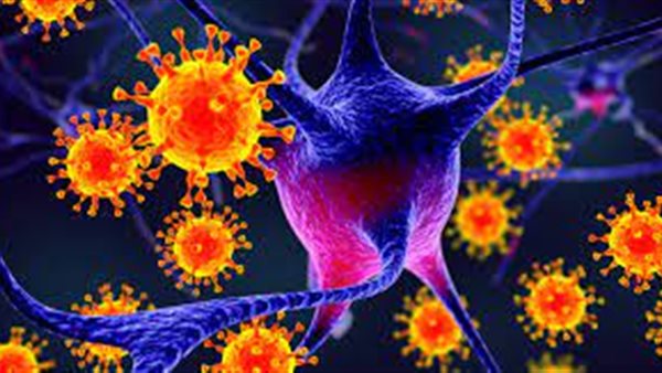  فيروس هانتا القاتل.. تعرف على الأعراض وطرق الانتقال والوقاية