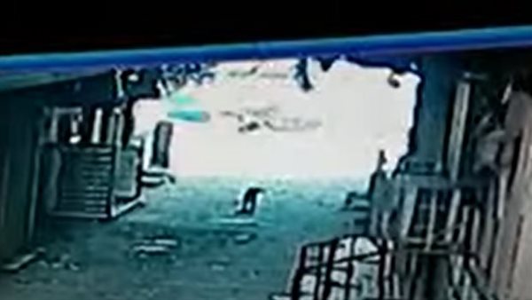 أم بلا قلب.. لحظة إلقاء ربة منزل جثة رضيعها داخل صندوق قمامة | شاهد