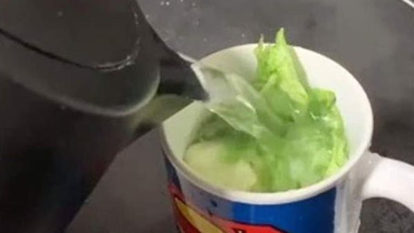 بالخس والماء المغلي.. فتاة تجرب طريقة جديدة للخلود للنوم سريعا
