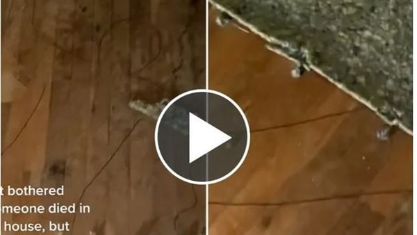 لحظات من الرعب..امرأة في حالة ذعر بسبب ما وجدته تحت السجادة | شاهد