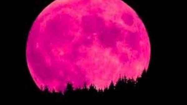 ينير العالم.. «قمر الفراولة» يزين سماء مصر في أول ظاهرة فلكية بالصيف