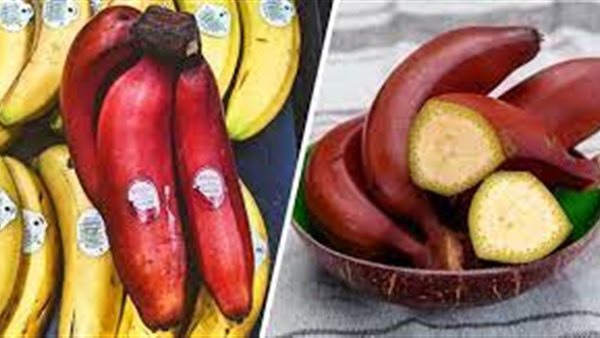 احذر.. 4 أطعمة يمكن أن تسبب لك المرض إذا لم يتم تخزينها بشكل صحيح