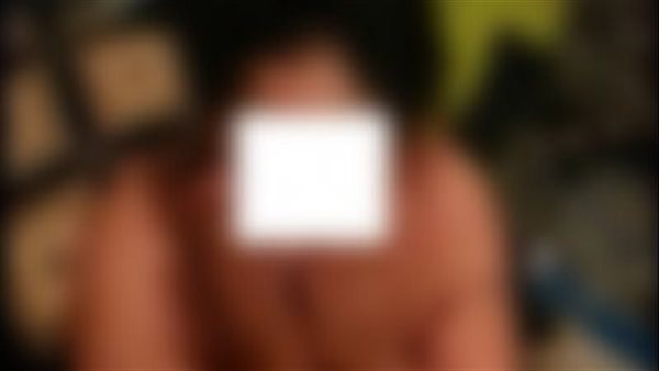 على جميع المنصات..تحرك برلماني ضد المواقع الإباحية في مصر