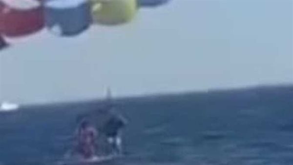 لقطات مروعة..سمكة قرش تلتهم قدم شاب بالعقبة | شاهد