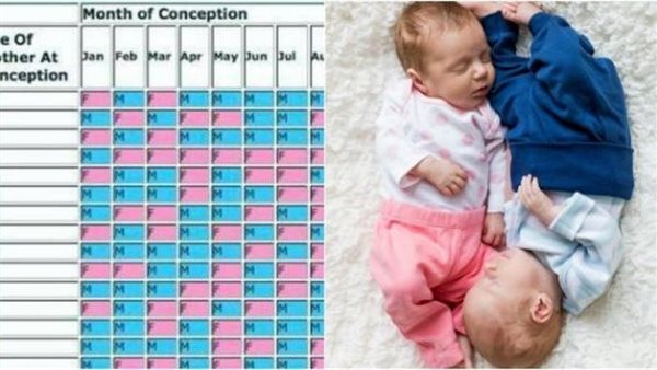 بدايته داخل مقبرة..حقيقة الجدول الصيني ومعرفة نوع الجنين