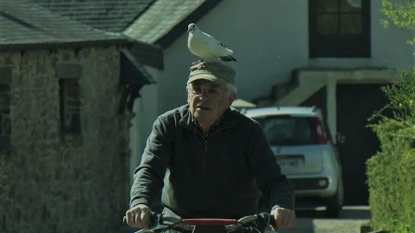 في كل جولاته وطقوس حياته.. صداقة غير عادية بين صياد عجوز وحمامة | شاهد