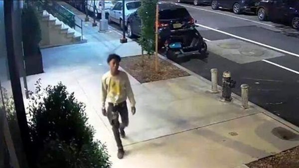 سحلوها وإصابتها خطيرة.. مقطع فيديو صادم للحظة الاعتداء على سائحة روسية| شاهد