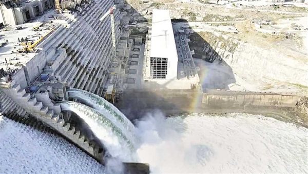 بعد قرار مجلس الأمن..وزير الخارجية: هذا ما ستفعله مصر بشأن أزمة سد النهضة | فيديو