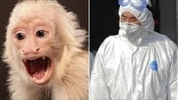 مصائب الصين تتوالى.. أول حالة وفاة بشرية بفيروس القرد القاتل