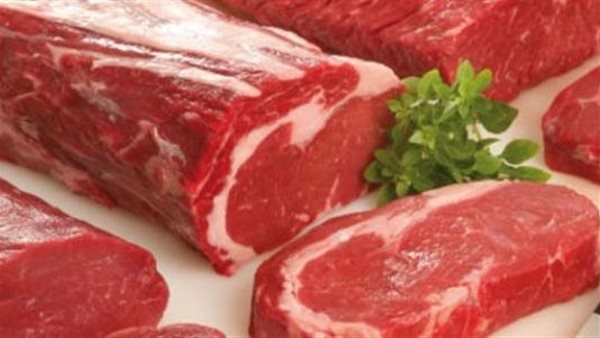 هل تنقض الوضوء؟.. الإفتاء تحسم الجدل في تناول لحم الإبل