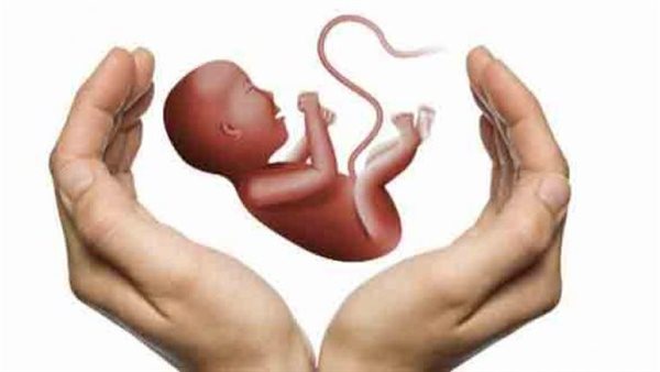 داخل حمام عيادة النساء والتوليد.. تفاصيل صادمة لتخلص أرملة من جنينها بسبب علاقة حرام