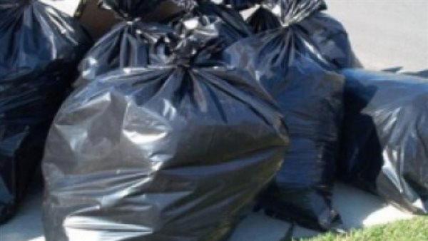 قطعت جسدها لأشلاء في أكياس قمامة..تفاصيل صادمة في مقتل ابنة أمها المُسنة 