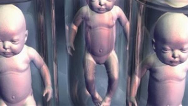 حلال بشروط... الإفتاء توضح حكم الإنجاب عن طريق أطفال الأنابيب