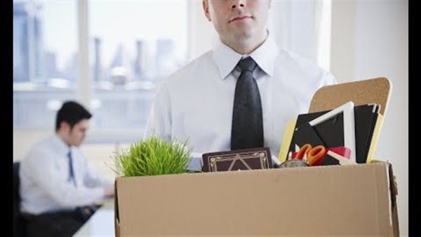 بعد تصديق الرئيس.. 5 حالات لفصل الموظف بالقانون الجديد