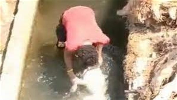 فيديو صادم.. الغضب يجتاح لبنان بعد تعذيب كلب بشكل وحشي| شاهد 