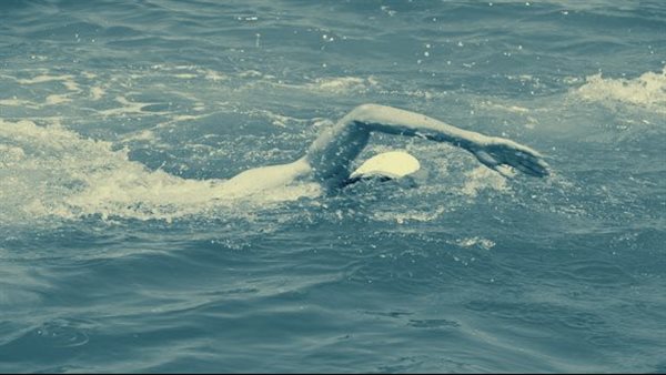 50 سمكة قرش حاصرته.. لحظات مخيفة لـ سبّاح في بحر المانش | شاهد 