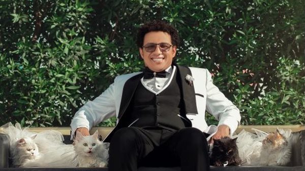 4 قطط عملهم عرايس.. «عمر» واجه رغبة والدته في زواجه بـ سيشن الفور كاتس| شاهد