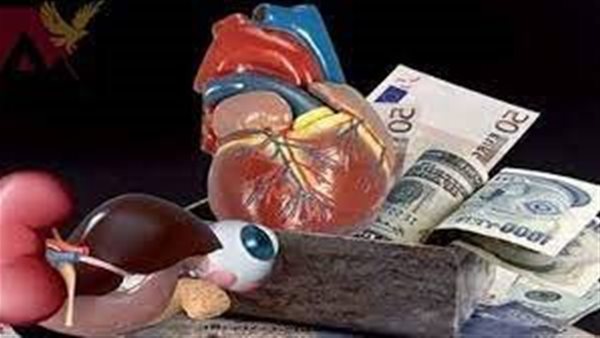 عقوبة رادعة لتجارة الأعضاء البشرية.. السجن المؤبد وغرامة مليون جنيه في انتظارهم 