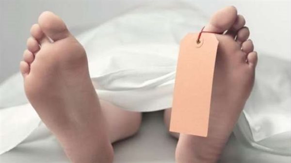  «قالتلي هدي الولد لأبوه يربيه».. تفاصيل صادمة في قتل عاطل لزوجته وإخراج أحشائها أمام طفليه