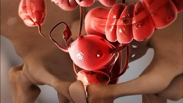  حرام في هذه الحالة.. «الإفتاء» توضح حكم زراعة الرحم من امرأة لأخرى