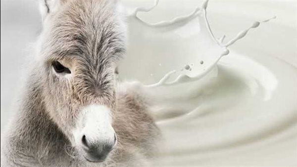 منها تقليل الشيخوخة.. فوائد غير متوقعة لـ صابون حليب الحمير