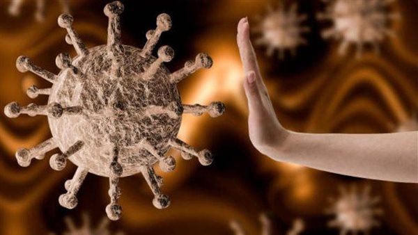 تعزيز مناعتك فى معركة كورونا.. 6 أطعمة سحرية داخل مطبخك 