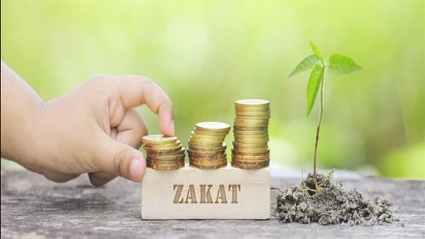  أمين الفتوى يجيب.. حكم إخراج زكاة المال للمتوفى