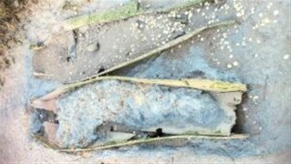 زيارتها محظورة.. قصة جزيرة إنجليزية مرعبة تمتلئ أرضها ببقايا الموتى| شاهد 