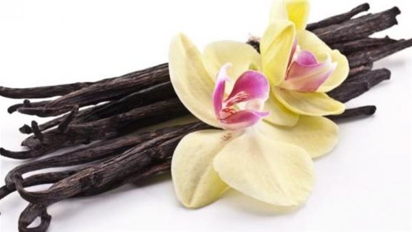 يصل سعرها لنصف مليون جنيه.. كنوز في مطبخك تعرفي عليها