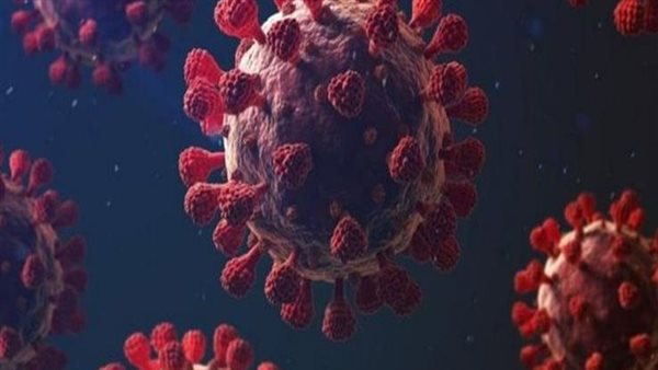 تستمر هذه المدة.. لجنة مكافحة كورونا تكشف موعد ذروة الموجة الرابعة بمصر | فيديو